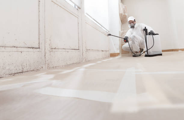 24/7 Emergency Attic Mold Removal experts in Reading, MA