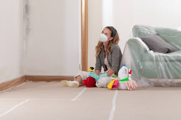 Reliable Basement Mold Removal contractor in Reading, MA by Cheap Mold Removal